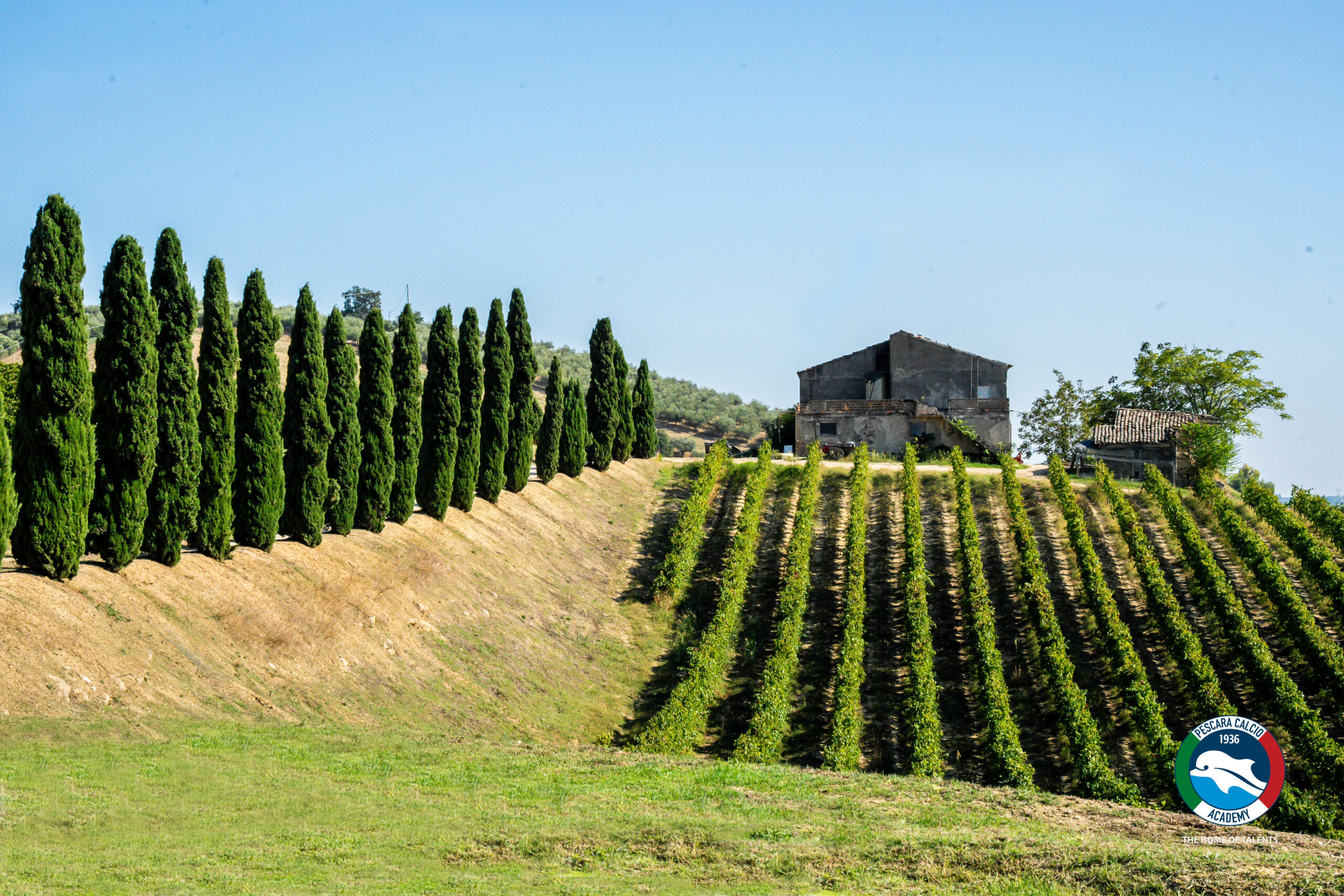 Tour nelle aziende per gli amici australiani